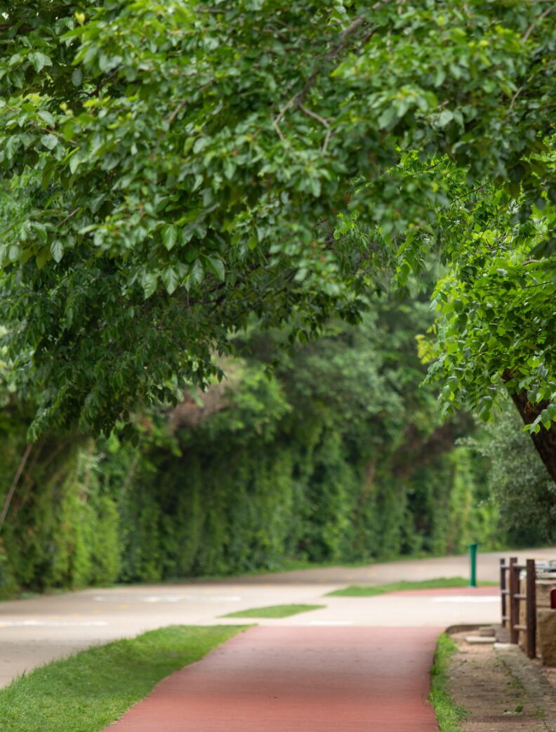 A shaded walking path through the landscape surrounding the tower