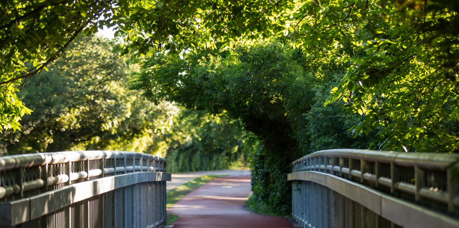 A shaded trail winding through a Dallas park