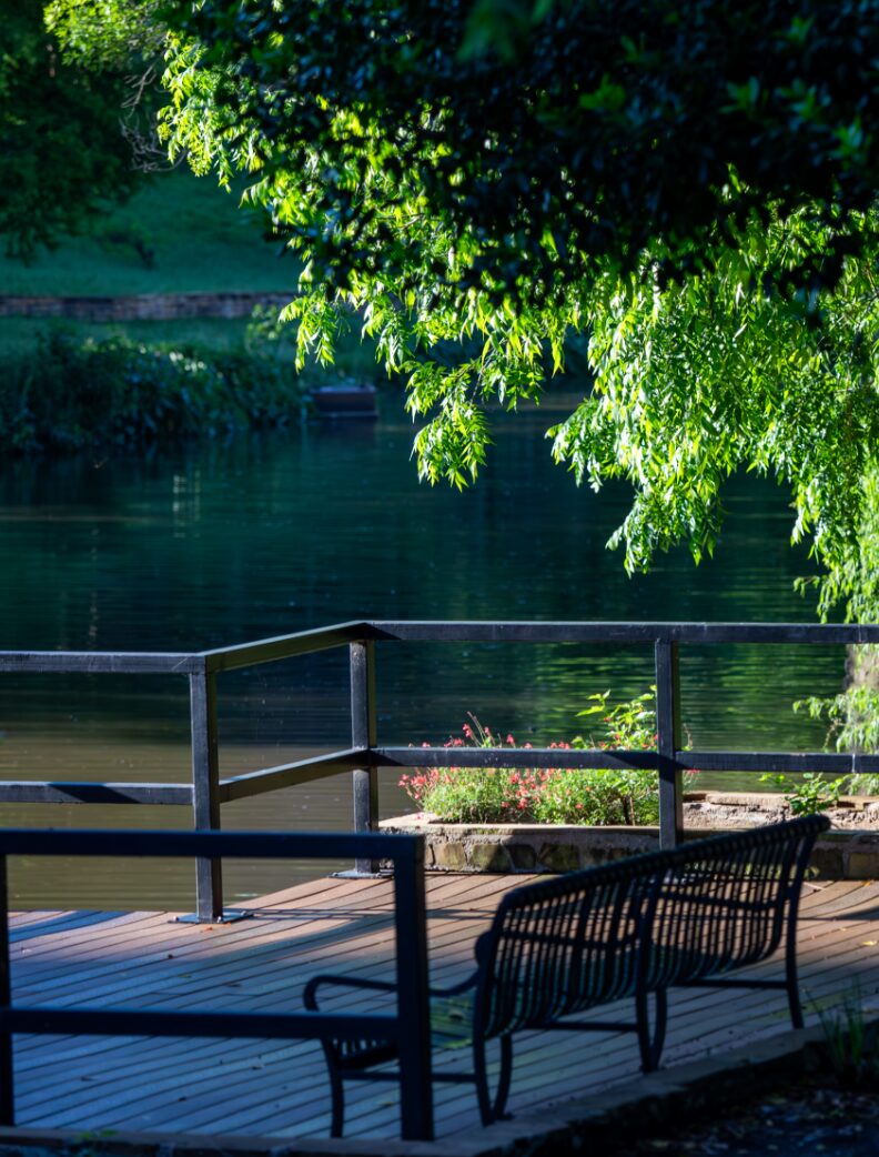 Seating beside a tree-lined Dallas trail